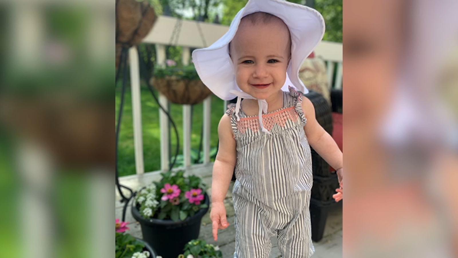 Royal Caribbean Cruises Is Not Responsible For The Death Of A 2019 Cruise Ship In Infant Chloe Wegand Indiana Judge S Rules Illinois News Today
