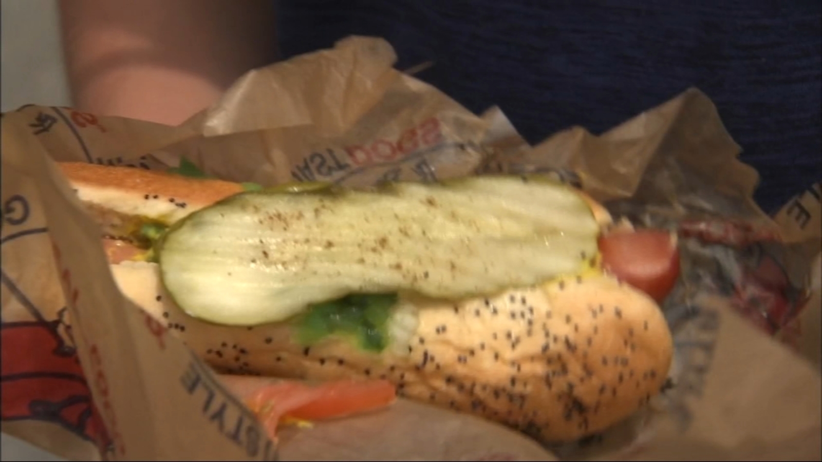 2019 Taste of Chicago Guide