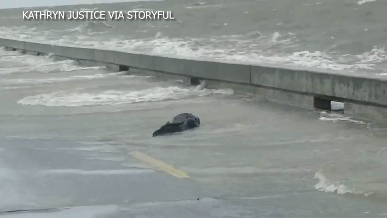 WATCH: Alligator seen wading through flooded streets