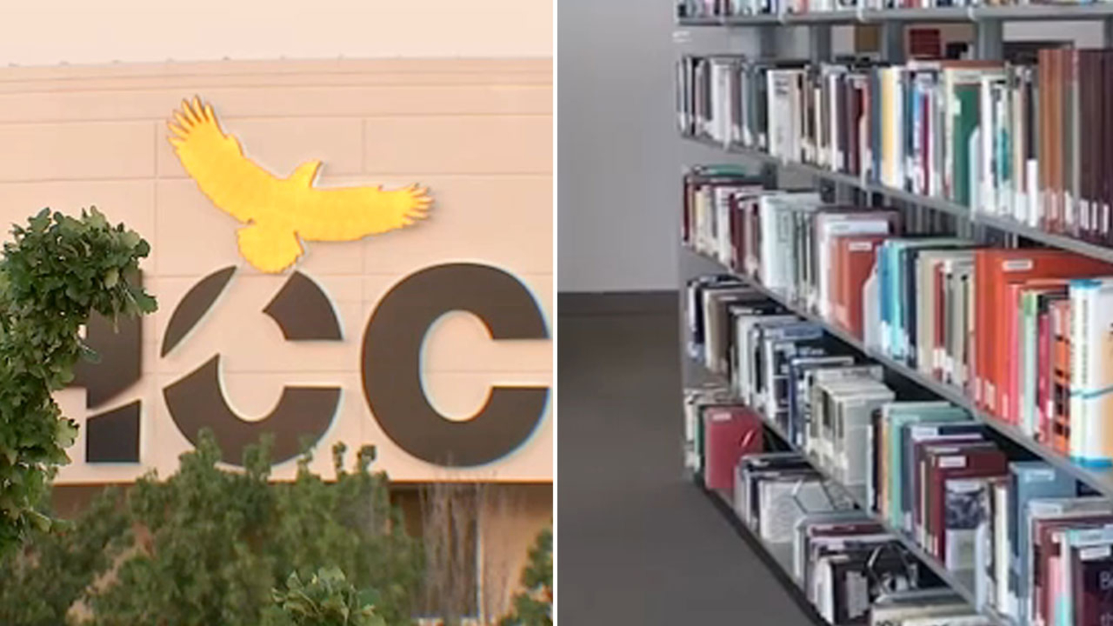 Man was masturbating inside Houston Community College library, woman says ABC13 Houston