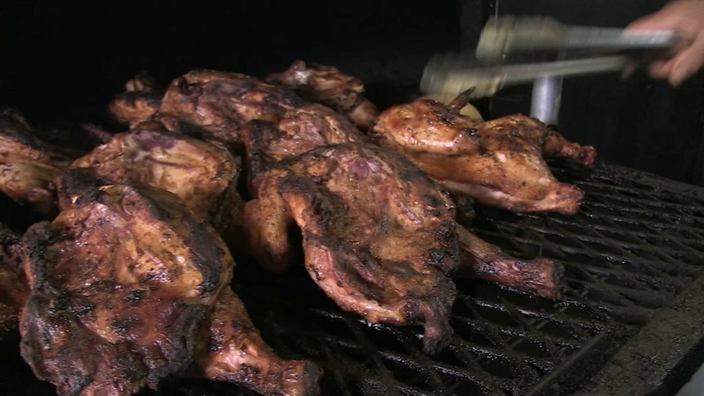 Hungry Hound: Jerk chicken