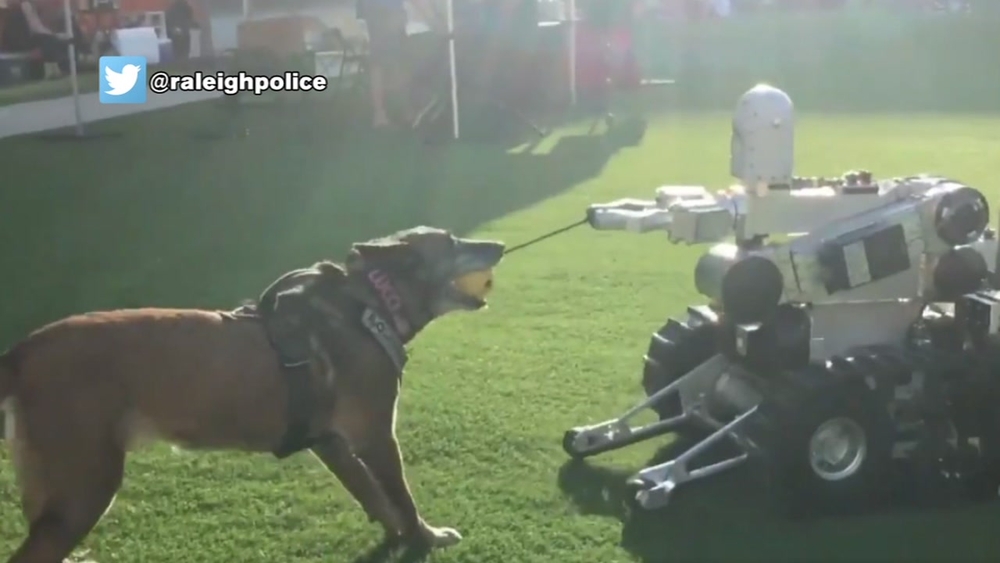 Who wins the tug-of-war: Raleigh K-9 vs. bomb robot