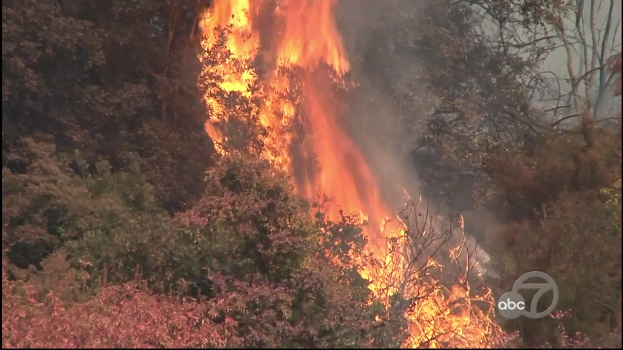 Canyon Fire in Napa County grows to 64 acres, 60 percent contained