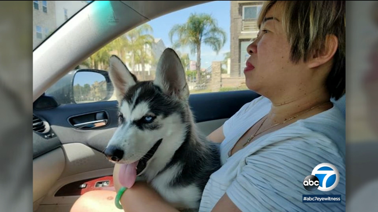 3-month-old dog allegedly stolen from Santa Ana family returned