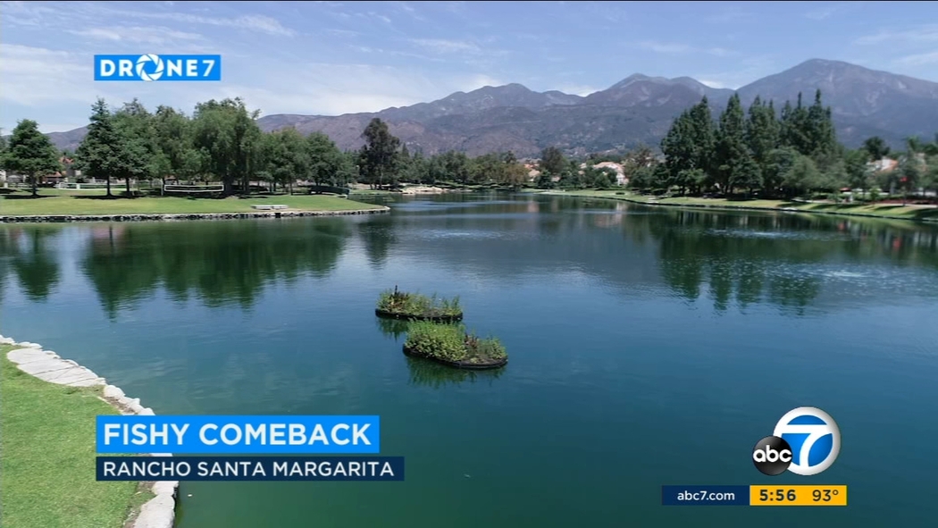 bpc 157 rancho santa margarita BPC-157 and Penis Growth: What the Evidence Actually Shows Lago Santa Margarita lake could