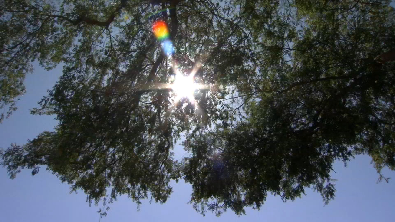 Excessive Heat Watch in effect for the weekend, temperatures could reach 110