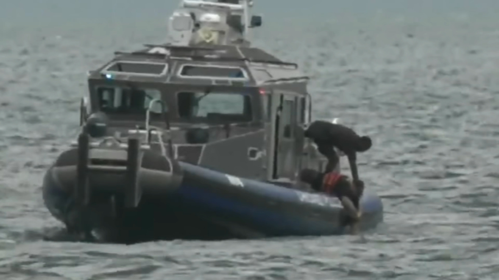 Laila the dog rescued from Lake Michigan, reunited with owner ABC13