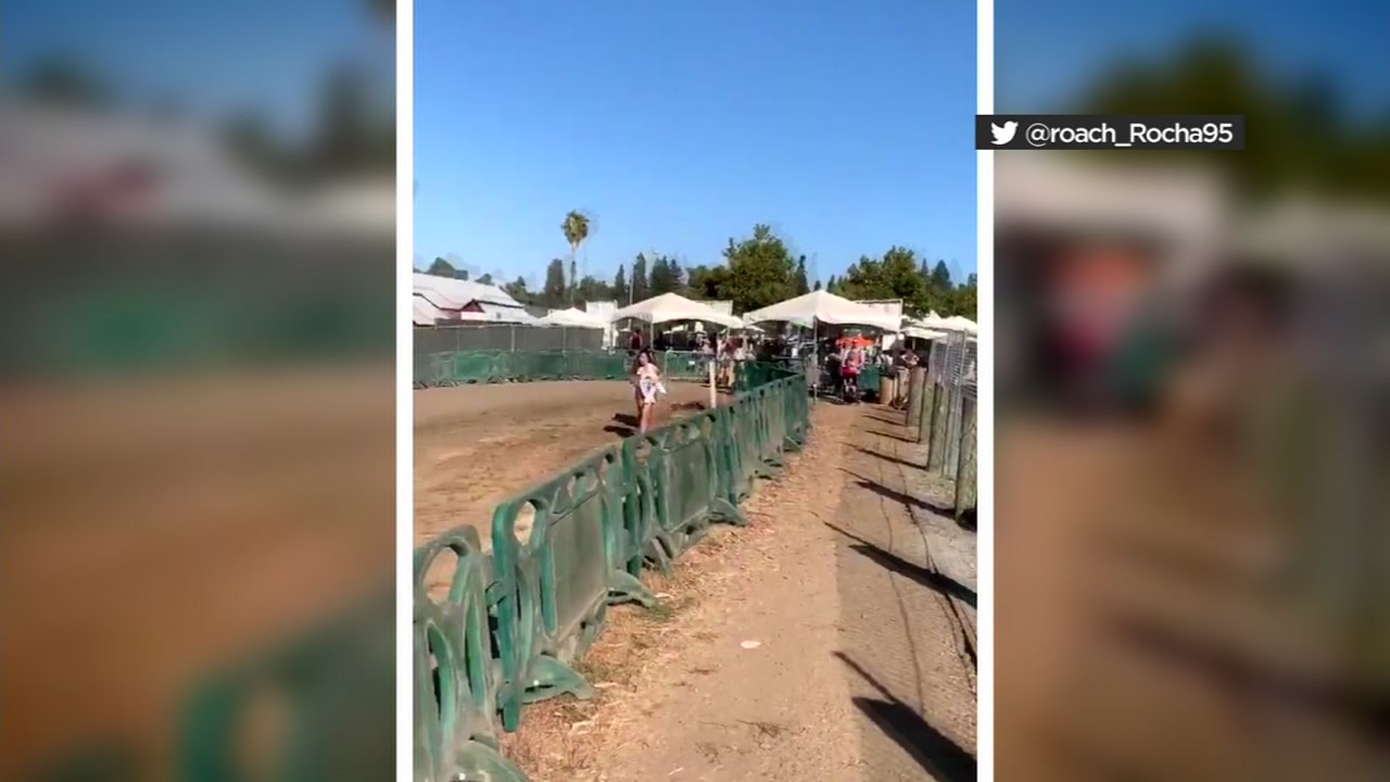 Gunman kills 2 kids, 1 other in Gilroy Garlic Festival attack