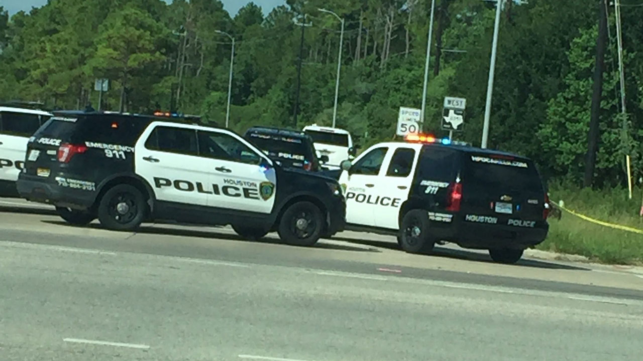 Man finds human skull, machete, crucifix in Clear Lake