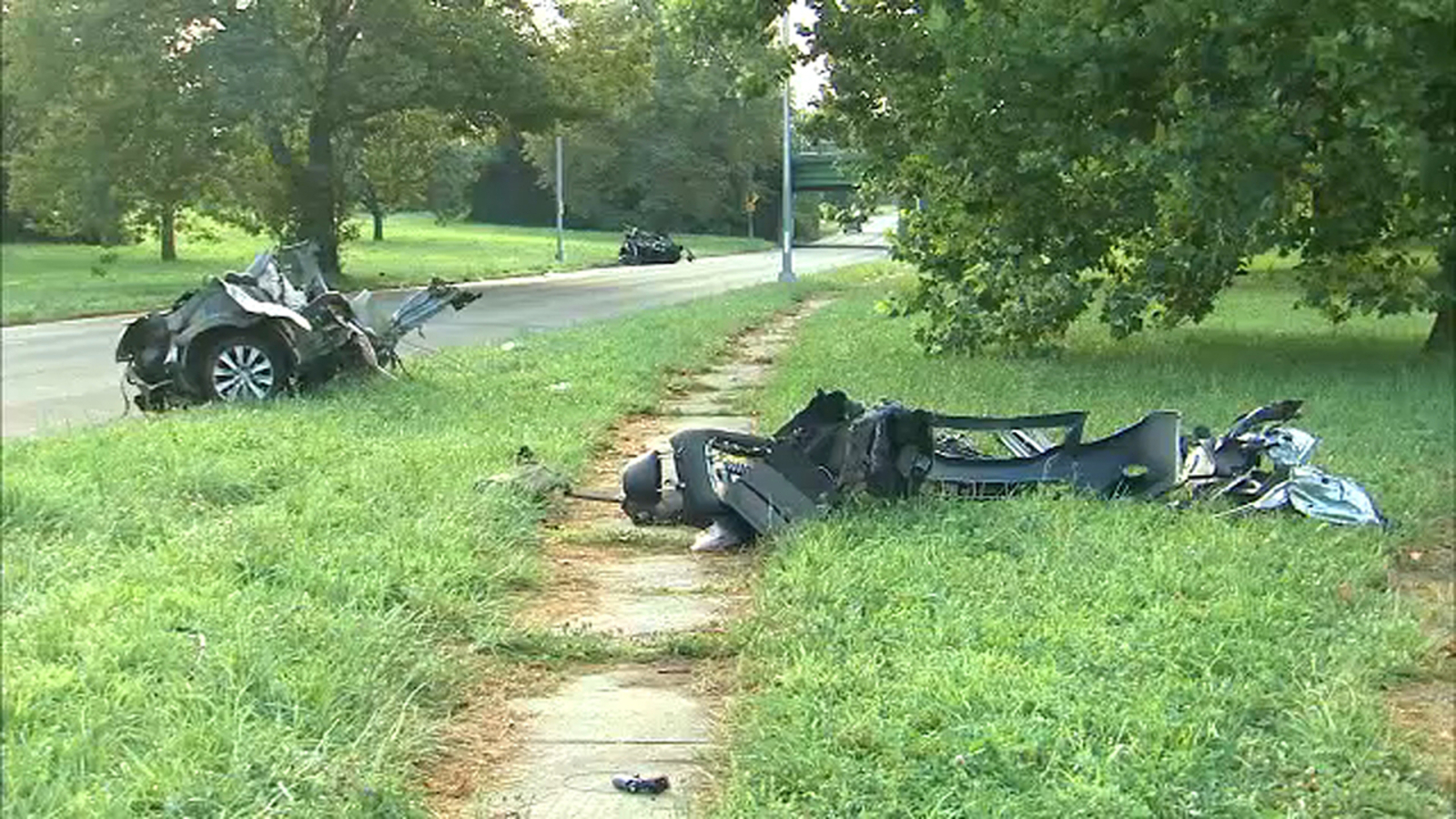 Man, 23, killed when car crashes into tree in Ozone Park, Queens ABC7