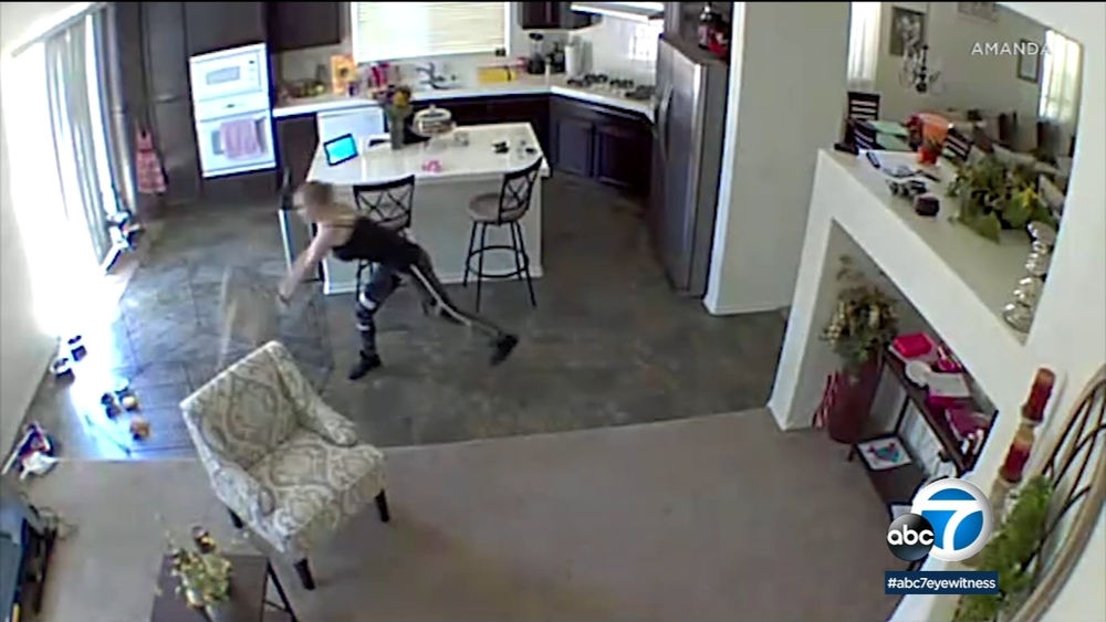 Video: Pet sitter throws puppy to ground at Victorville home
