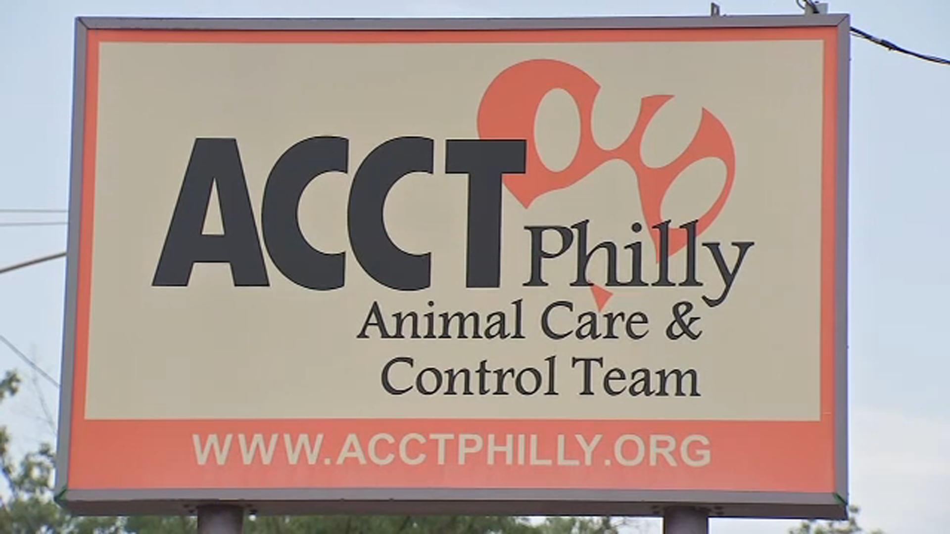 Head of ACCT, Philadelphia's largest animal shelter, resigns