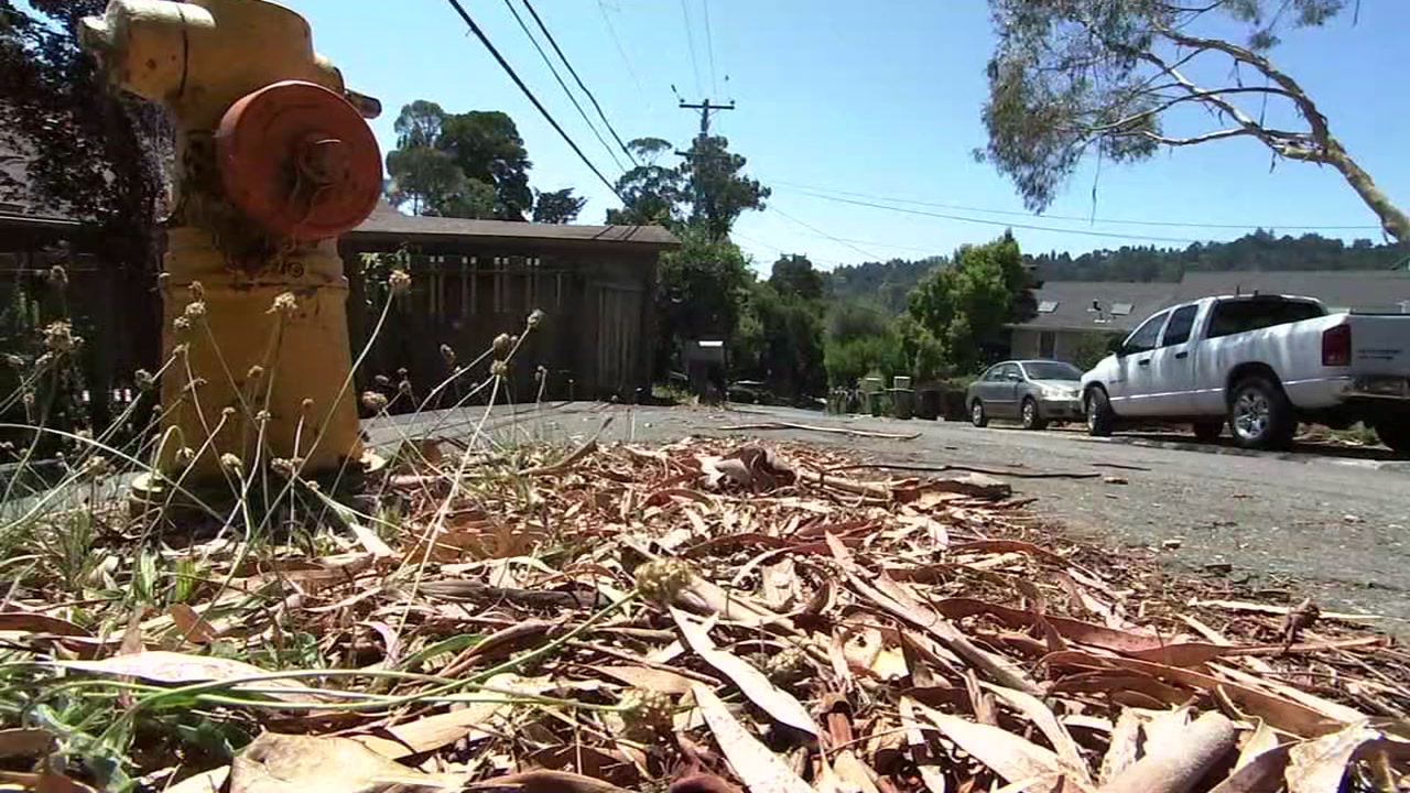 Mill Valley makes bold move to prevent fires