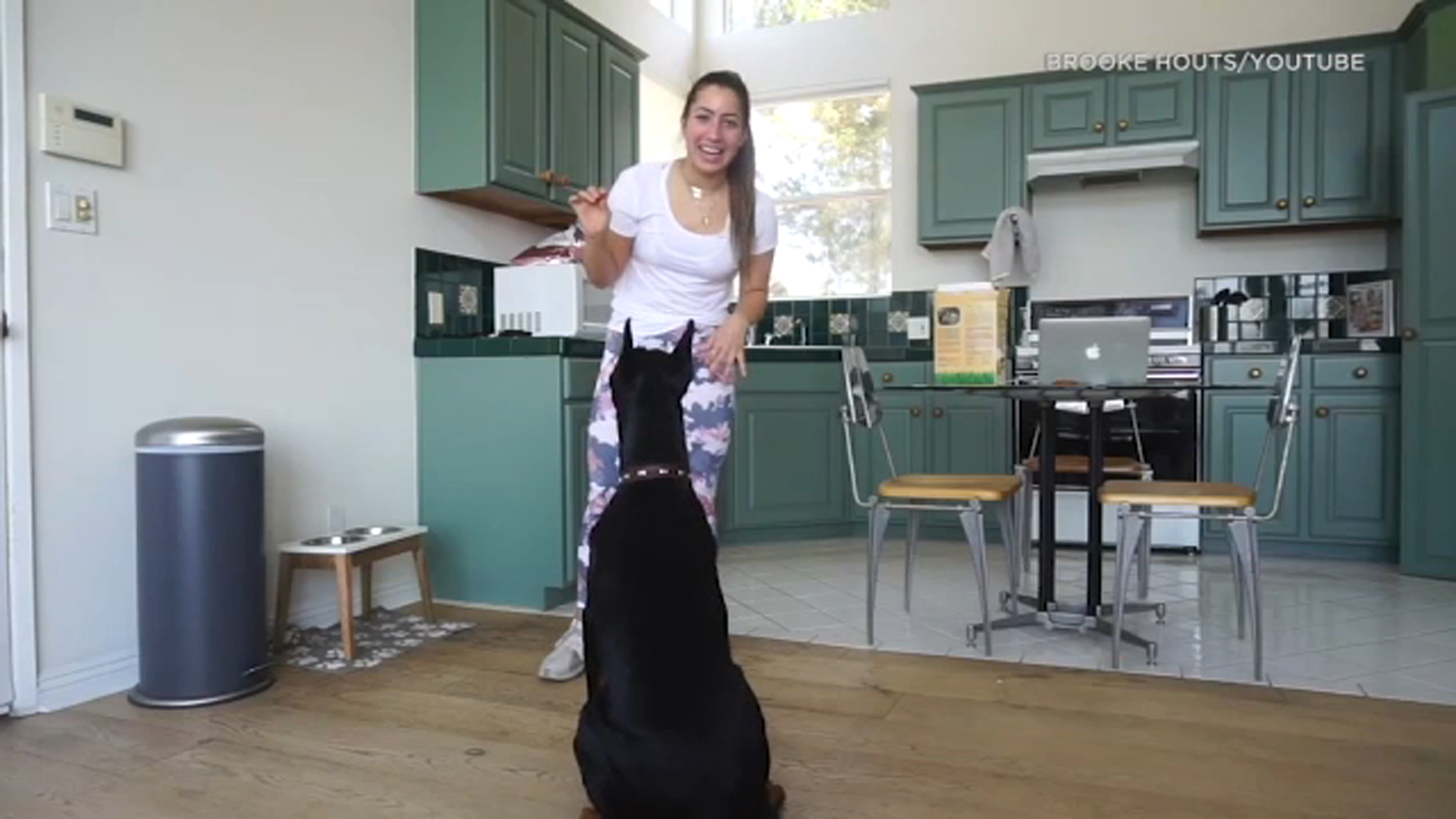 Police investigating YouTuber who appeared to abuse her dog in video