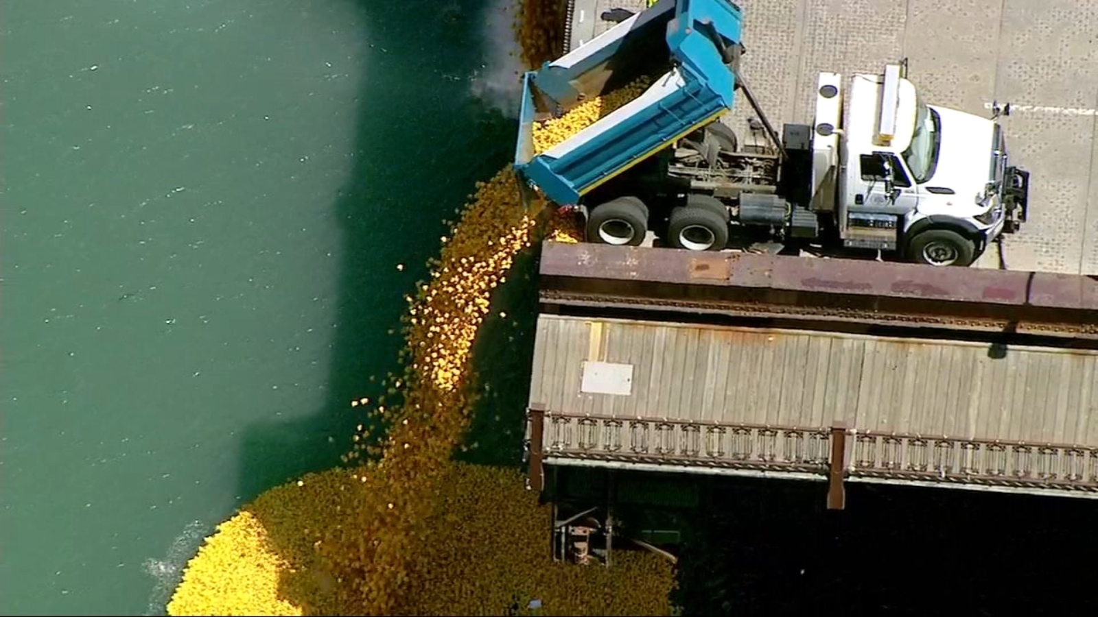 60,000+ rubber ducks splash into Chicago River at Chicago Ducky Derby