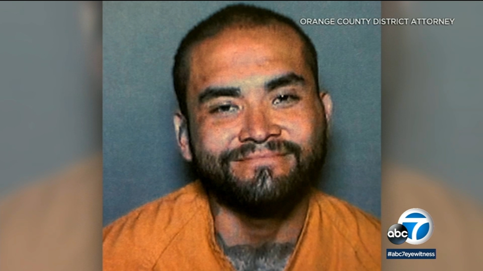 Orange County stabbing spree suspect charged with 11 felony counts ...