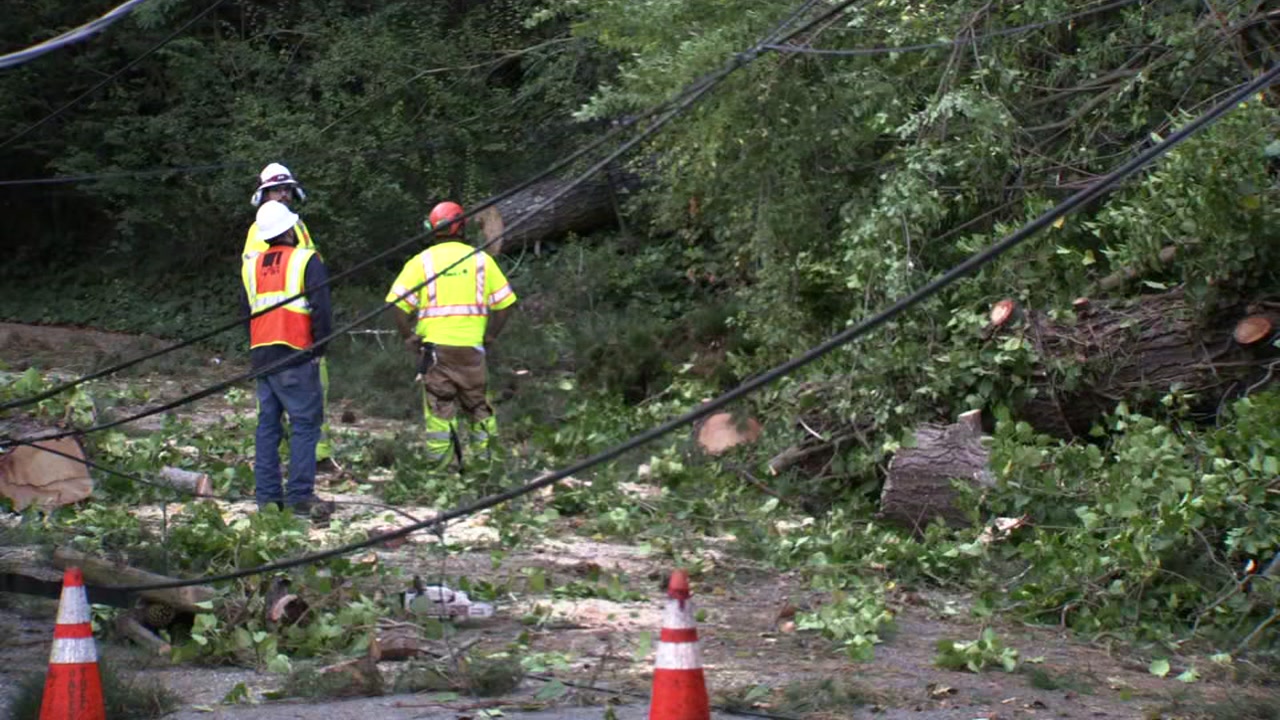 Fallen tree knocks out power in Oakland Hills