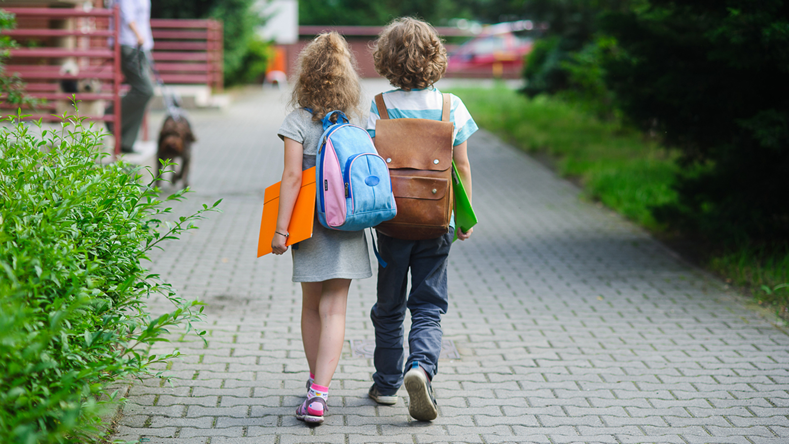 Школьники идут боком. Ребенок переходит в новую школу. Девочка идет в школу. Девочка идет в школу. Девочка идет в школу.