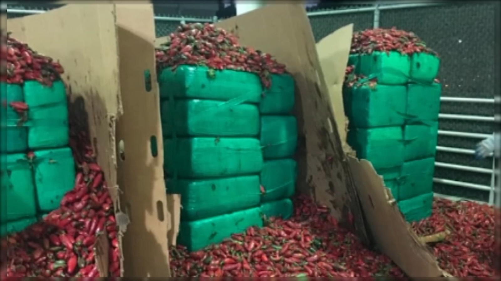 CBP officers seize almost 4 tons of marijuana inside shipment of ...