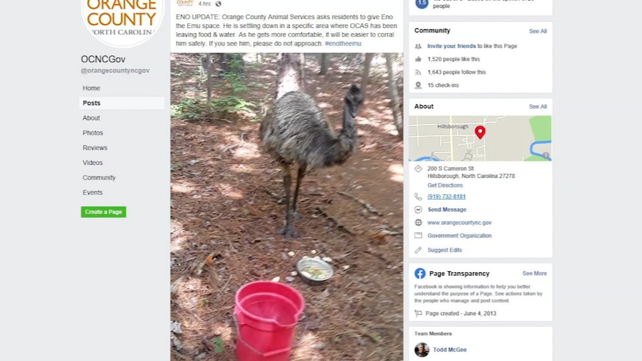 Eno the Emu has been found...sort of