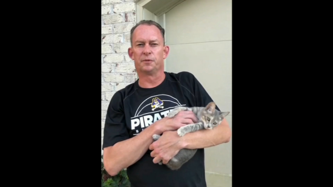 Adopt a kitten, get ECU basketball tickets