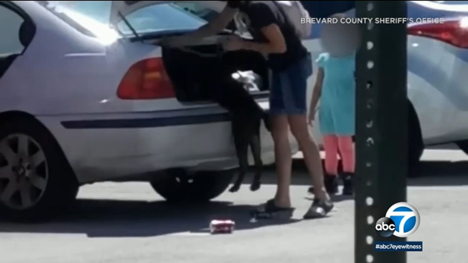 Florida woman facing animal cruelty charges for locking a dog inside ...