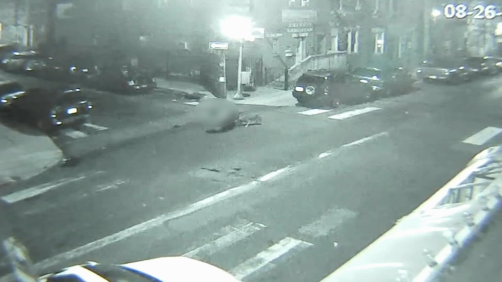 Police shoot dogs following attack on man in Hunting Park; man critical