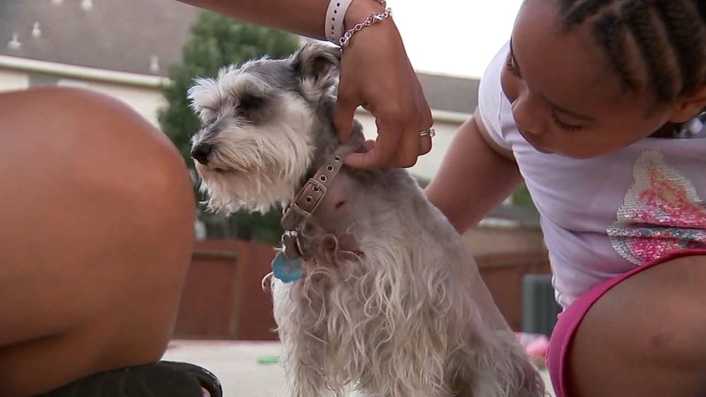 Pet owner wants others to be aware after coyote attack