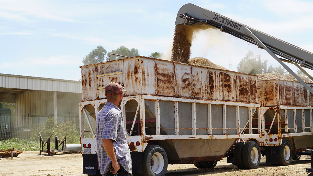 Here's how almonds get harvested in the Central Valley