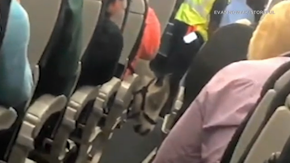 Horse gets aisle seat on plane