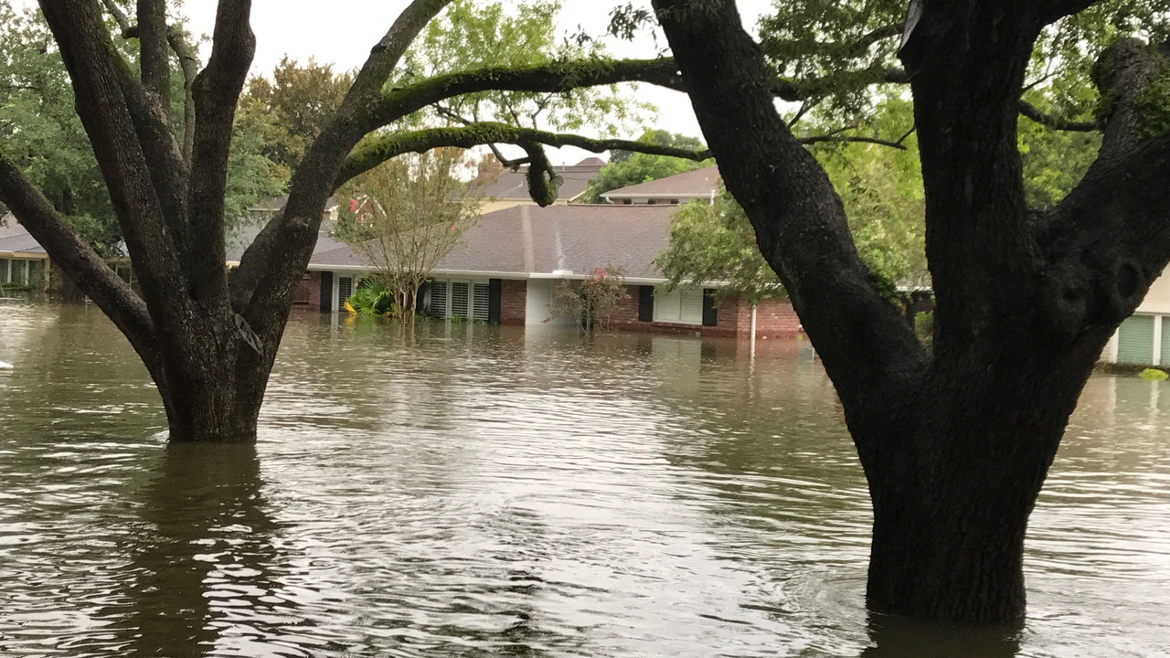 Houston council OKs $4.6M Harvey inspections contract