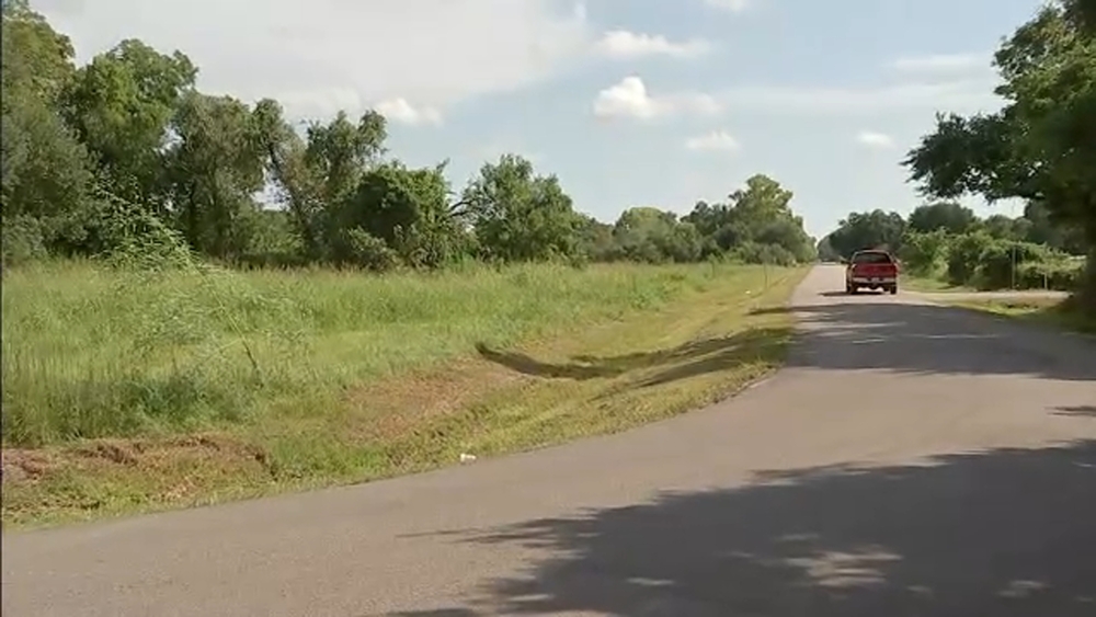 Reports of a primate sighting has animal control on the hunt in Santa Fe