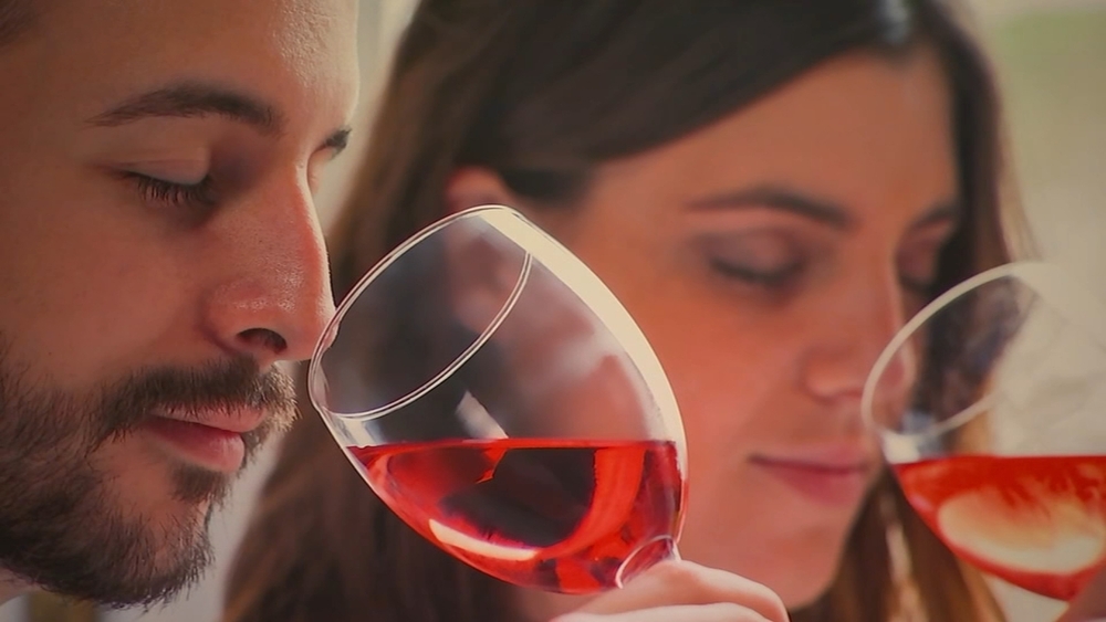 NC's first wine school opens in Raleigh offering certifications in wine education