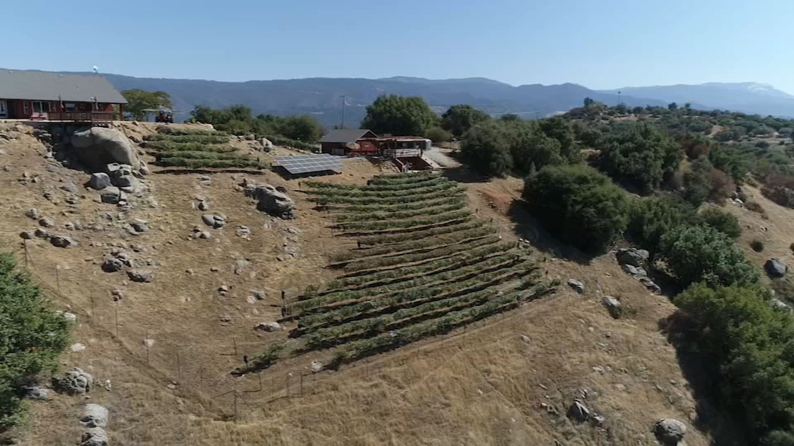 Squaw Valley winery creates unique wines ABC30 Fresno