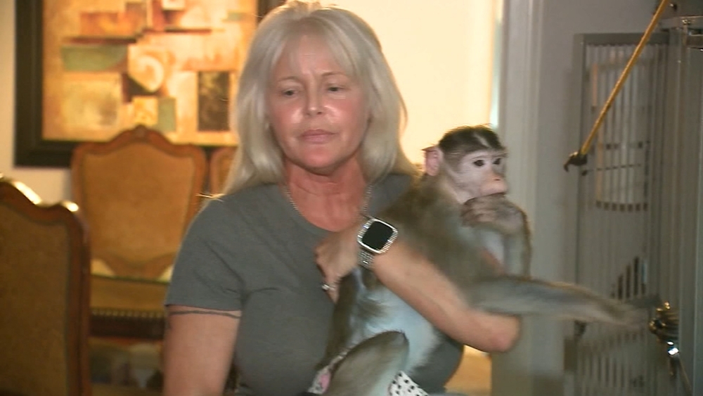 Missouri woman fighting city law to keep emotional support monkeys