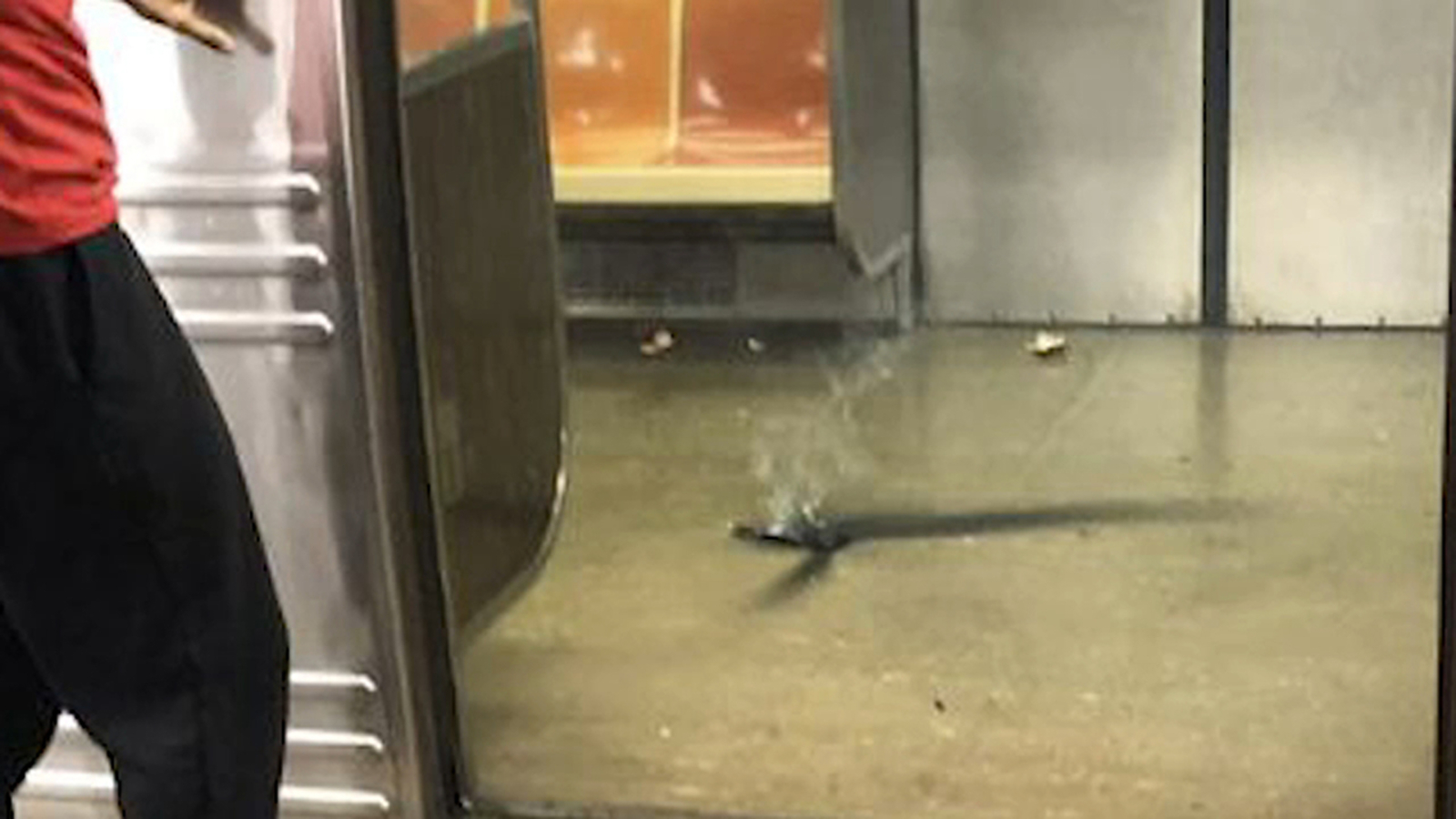 Subway rider's phone bursts into flames on A train in Brooklyn - ABC7 ...