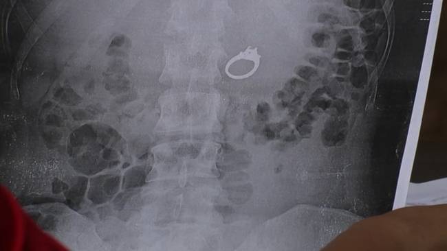 North Carolina's first state wine school opens in Raleigh offering