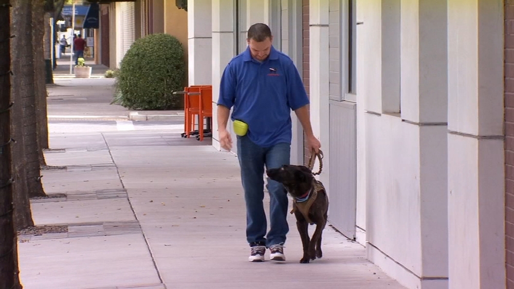 South Valley non-profit pairing vets with service dogs-for free