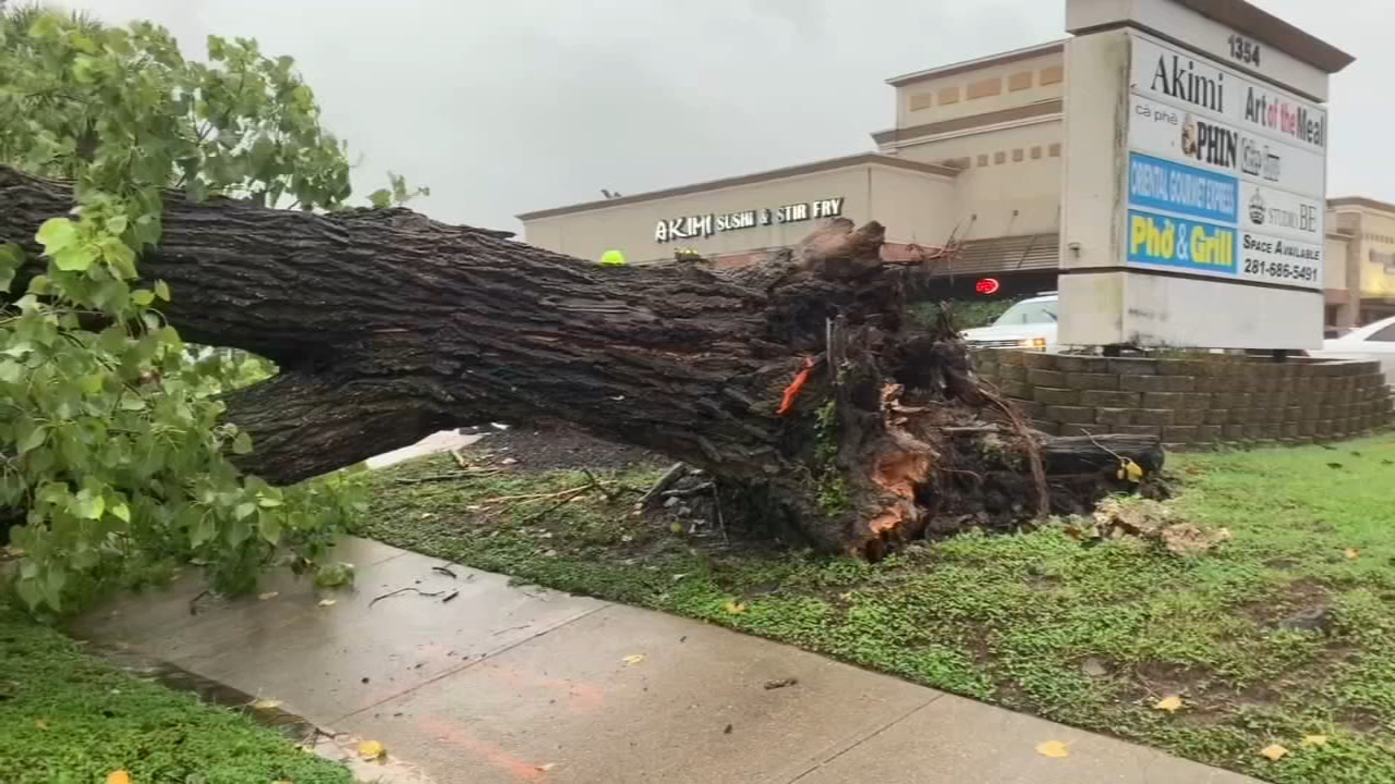 Tropical storm topples trees and carports