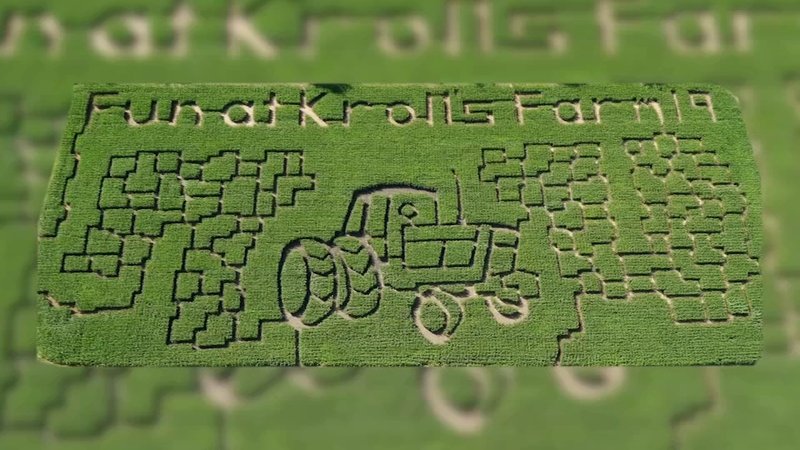 Corn Maze Opens For Season At Kroll S Fall Harvest Farm In