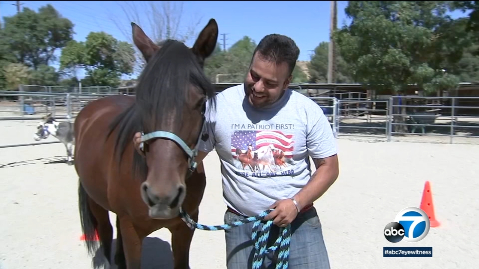 Veterans turn to horse therapy at Santa Clarita's Blue Star Ranch to