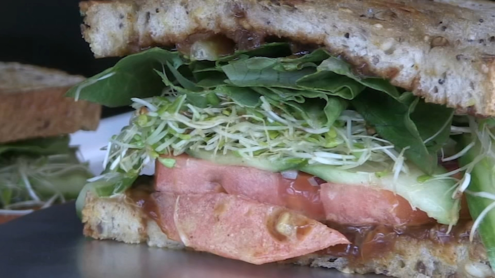 Lula Cafe in Logan Square continues to thrive after 2 decades
