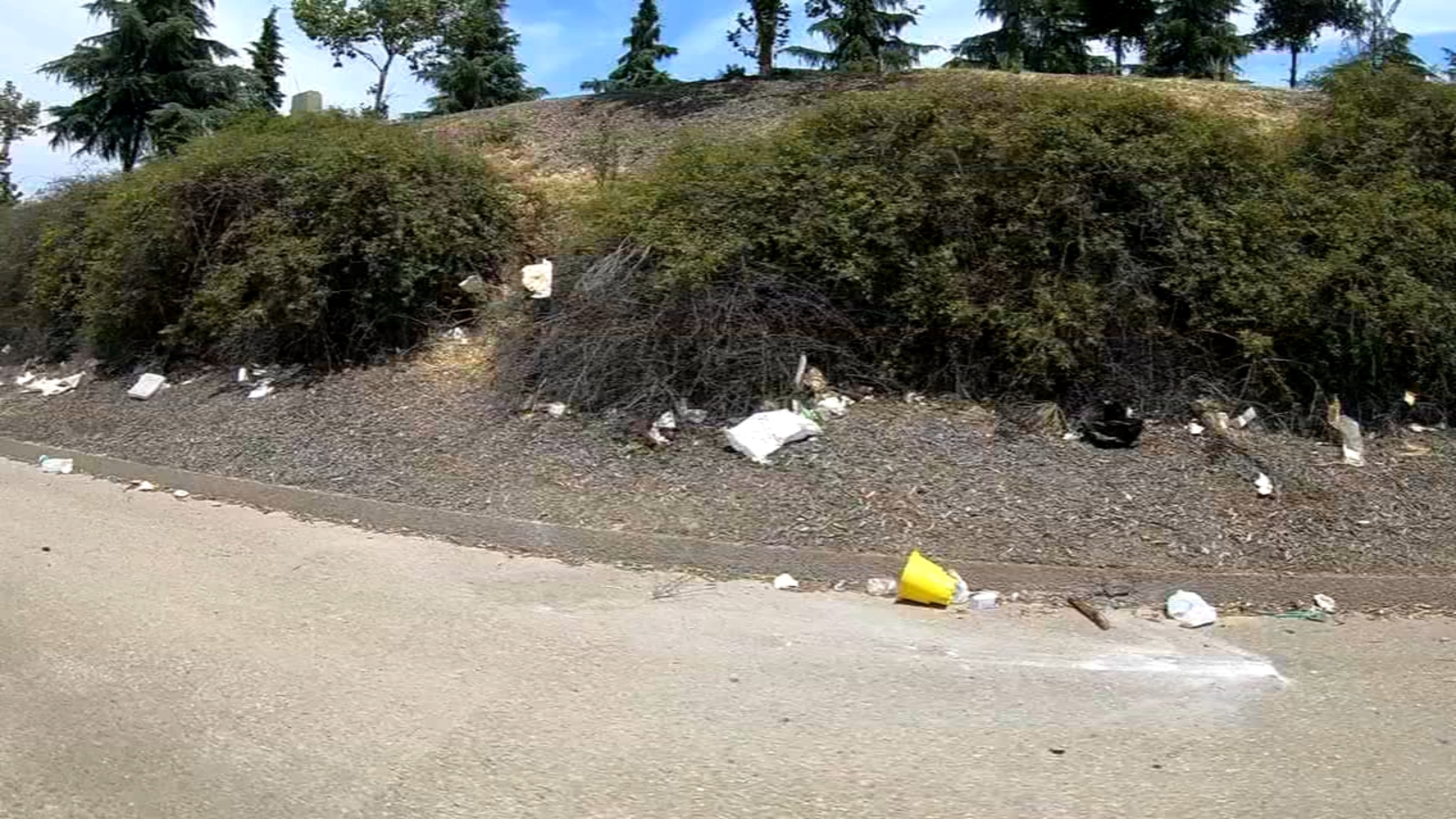 Cleaning up Fresno's highways City efforts underway to beautify Fresno