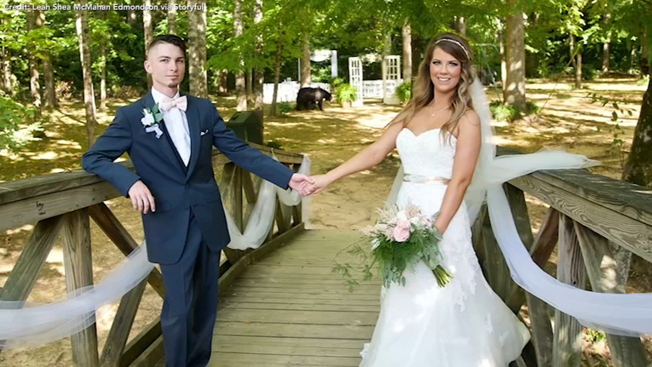 Bear photobombs couple's wedding pictures in Gatlinburg, Tennessee