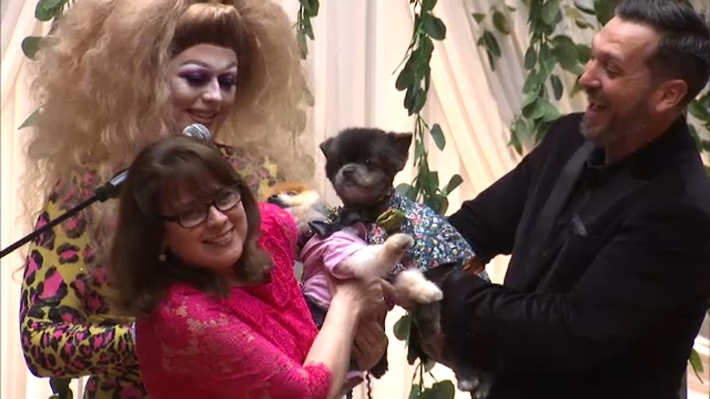 2 Chicago dogs wed in extravagant puppy nuptial