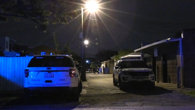 Man found fatally shot in West Rogers Park alley, police say - ABC7 Chicago