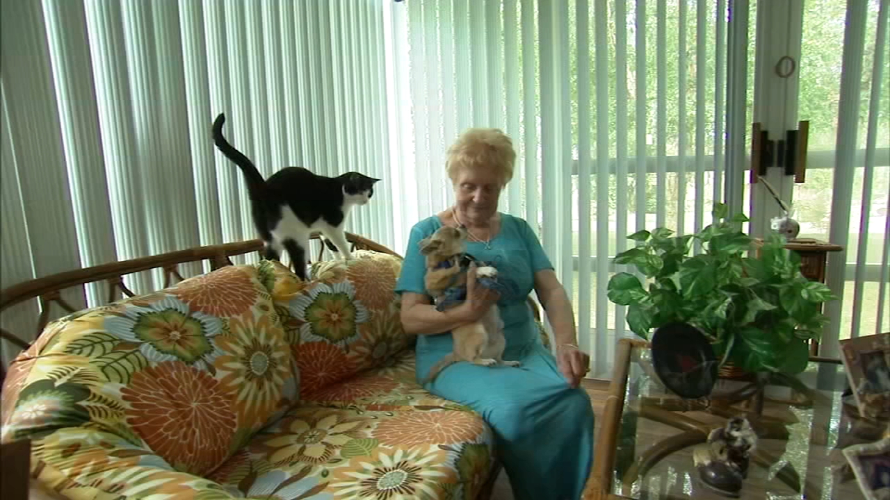 Art of Aging: Pets as companions
