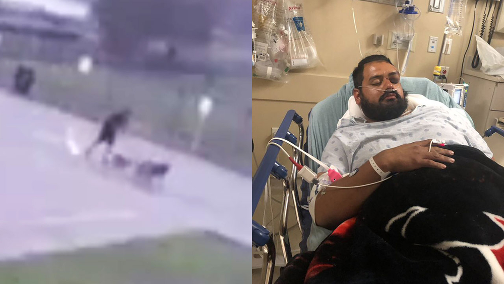 VIDEO: Man collapses instantly in lightning strike
