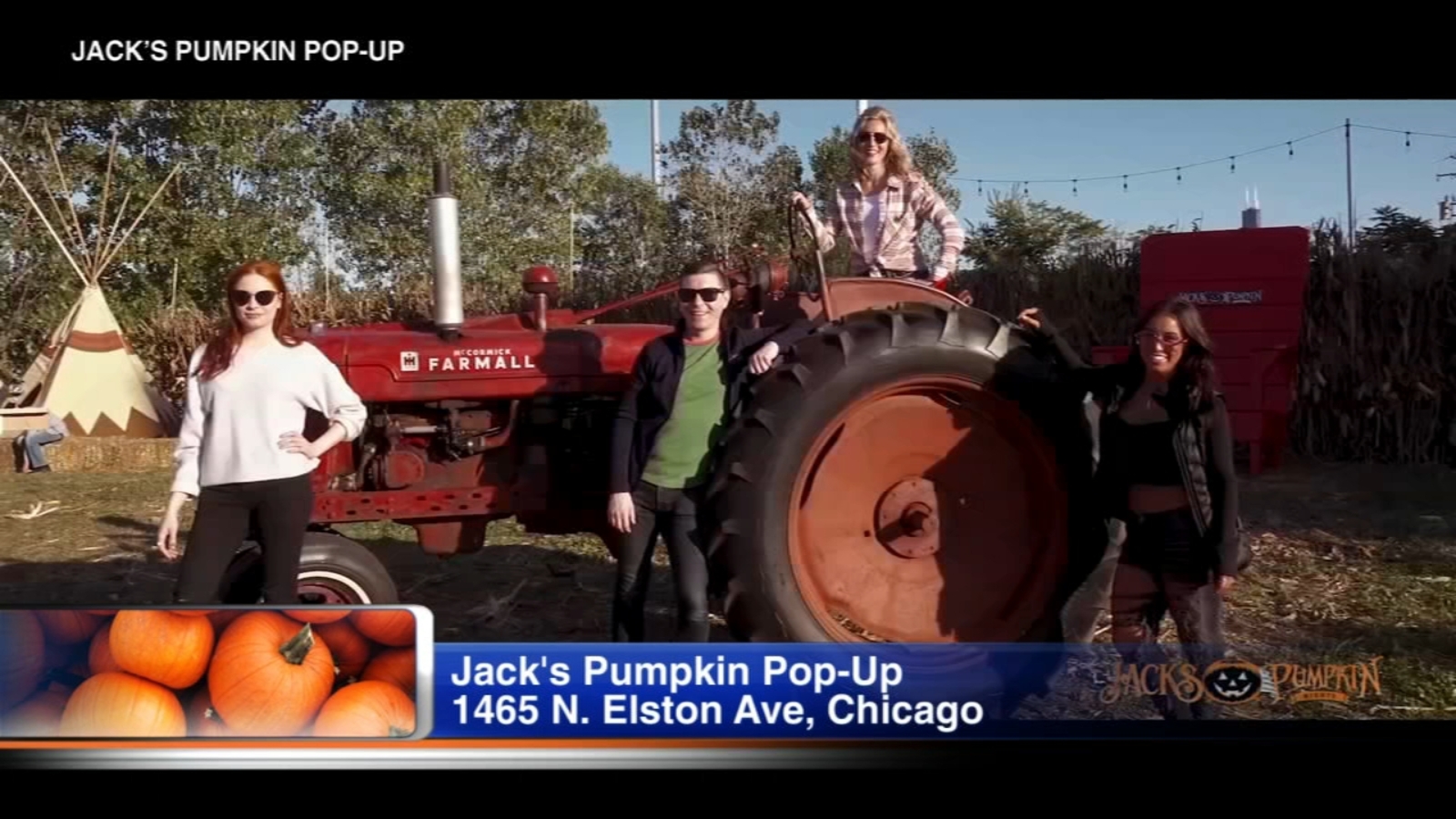Jack's Pumpkin PopUp The ultimate Fall experience ABC7 Chicago