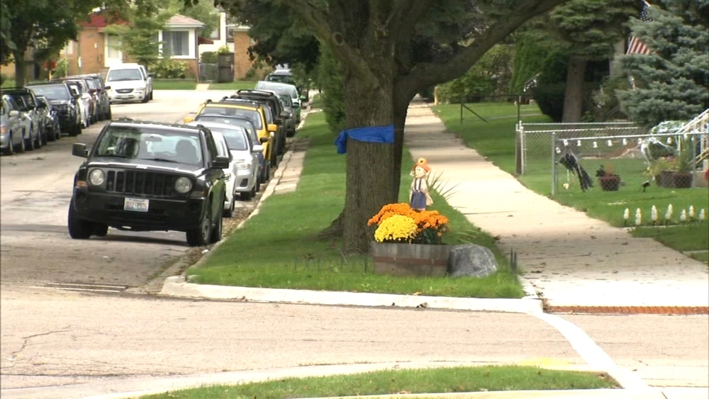 Vehicle stolen on Chicago's Northwest Side described as USPS truck, witnesses say